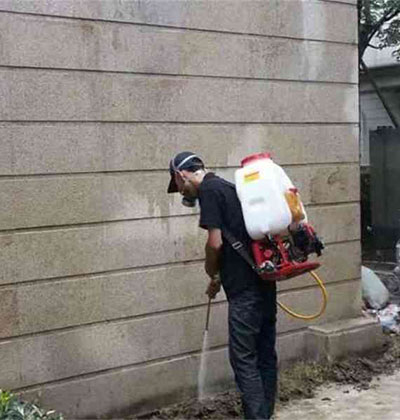 郫縣除四害，龍泉除四害