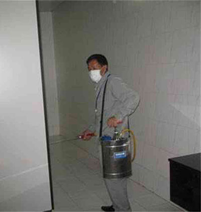 郫都區(qū)消殺，郫縣消殺，龍泉消殺，溫江消殺