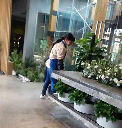 郫縣保潔，龍泉保潔